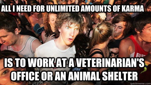 All I need for unlimited amounts of karma is to work at a veterinarian's office or an animal shelter  Sudden Clarity Clarence