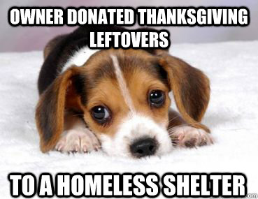 owner donated thanksgiving leftovers to a homeless shelter  First World Problem Puppy