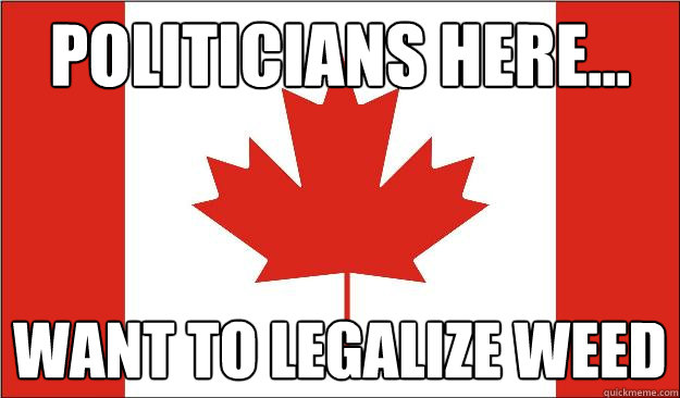 politicians here... want to legalize weed  - politicians here... want to legalize weed   Misc