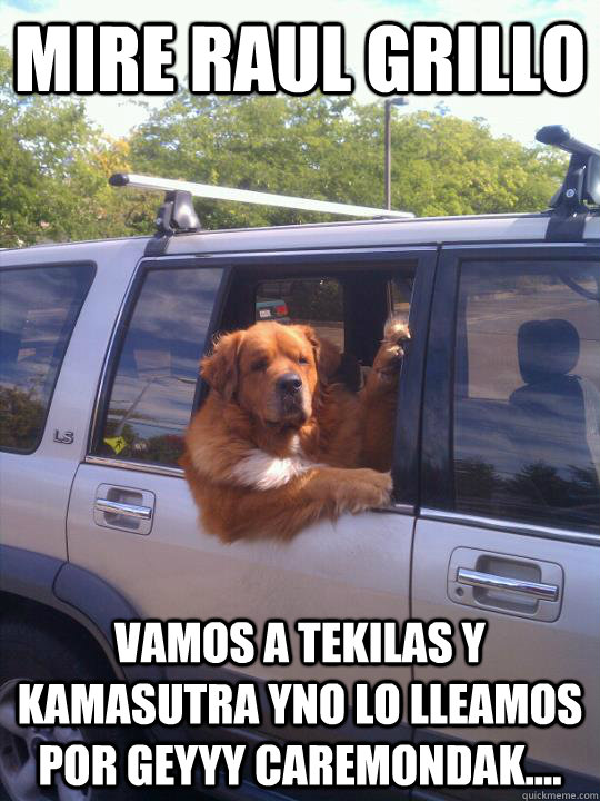 MIRE RAUL GRILLO VAMOS A TEKILAS Y KAMASUTRA YNO LO LLEAMOS POR GEYYY CAREMONDAK....  Womans Best Friend Dog