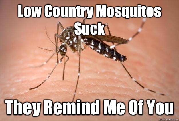 Low Country Mosquitos Suck They Remind Me Of You  Master Troll Mosquito