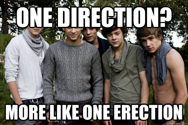 One Direction? More like one Erection  One Erection