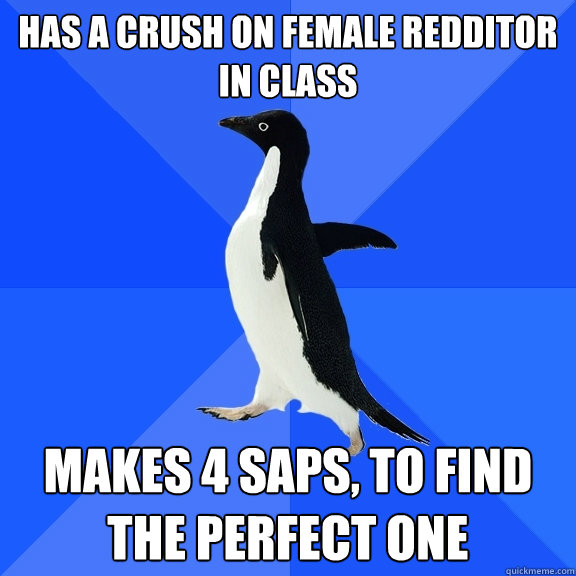 has a crush on female redditor in class makes 4 SAPs, to find the perfect one  Socially Awkward Penguin
