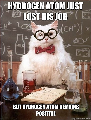 hydrogen atom just lost his job but hydrogen atom remains positive  Chemistry Cat