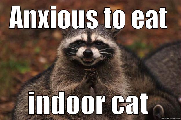 Keep kitty alive. Close the door behind you - ANXIOUS TO EAT INDOOR CAT Evil Plotting Raccoon