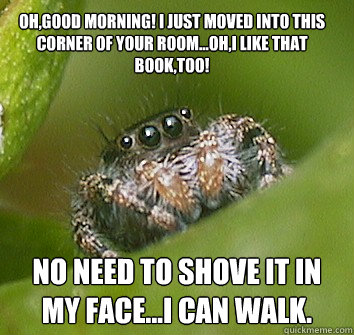 Oh,good morning! I just moved into this corner of your room...Oh,I like that book,too! No need to shove it in my face...I can walk.  Misunderstood Spider