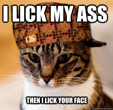 I lick my ass Then i lick your face  Scumbag Cat