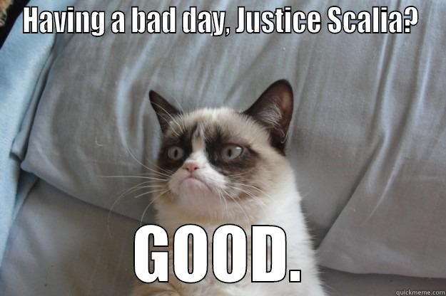 HAVING A BAD DAY, JUSTICE SCALIA? GOOD. Grumpy Cat