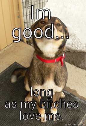 IM GOOD... LONG AS MY BITCHES LOVE ME. Good Dog Greg