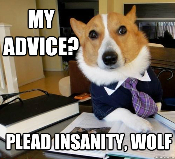 my advice? plead insanity, wolf  Lawyer Dog