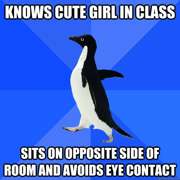 Knows cute girl in class sits on opposite side of room and avoids eye contact   Socially Awkward Penguin