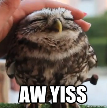  AW YISS -  AW YISS  cute owl