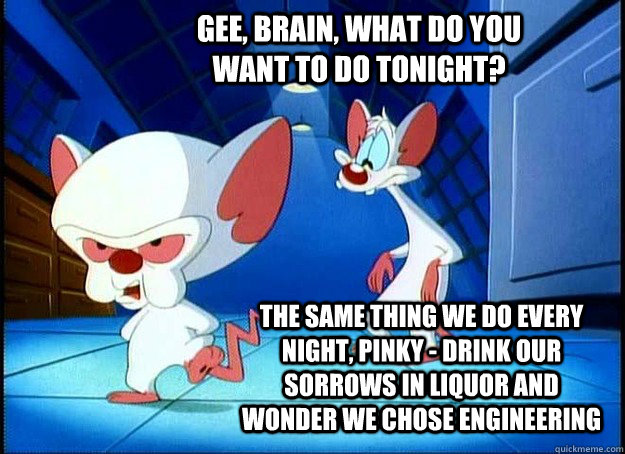 Gee, Brain, what do you want to do tonight? The same thing we do every night, Pinky - drink our sorrows in liquor and wonder we chose engineering - Gee, Brain, what do you want to do tonight? The same thing we do every night, Pinky - drink our sorrows in liquor and wonder we chose engineering  Pinky and the Brain