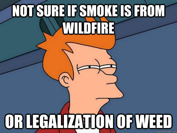 Not sure if smoke is from wildfire Or legalization of weed - Not sure if smoke is from wildfire Or legalization of weed  Futurama Fry