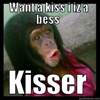 WANT A KISS I IZ A BESS  KISSER Misc