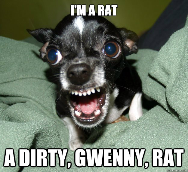 I'm a rat A dirty, gwenny, rat  Chihuahua Logic