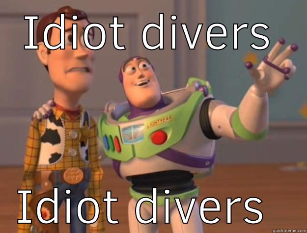 IDIOT DIVERS IDIOT DIVERS EVERYWHERE Toy Story