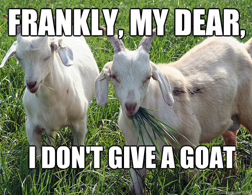 frankly, my dear, i don't give a goat - frankly, my dear, i don't give a goat  Goat Quotes