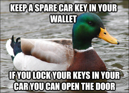Keep a spare car key in your wallet if you lock your keys in your car you can open the door   Actual Advice Mallard
