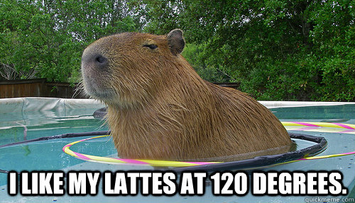 I like my Lattes at 120 degrees. - I like my Lattes at 120 degrees.  Pretentious Capybara