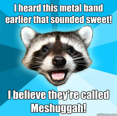 I heard this metal band earlier that sounded sweet! I believe they're called Meshuggah!  Lame Pun Coon