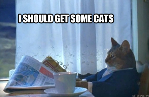 I should get some cats  Sophisticated Cat