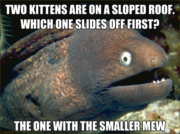 Two kittens are on a sloped roof. Which one slides off first? The one with the smaller mew  Bad Joke Eel