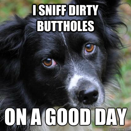 i sniff dirty buttholes on a good day - i sniff dirty buttholes on a good day  Misc