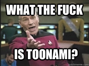What the fuck is toonami?  Annoyed Picard