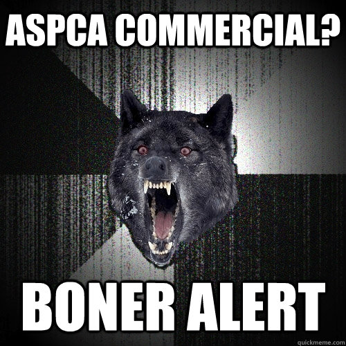 ASPCA Commercial? Boner alert  Insanity Wolf