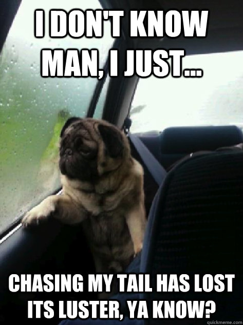 I don't know man, I just... Chasing my tail has lost its luster, ya know?  Introspective Pug