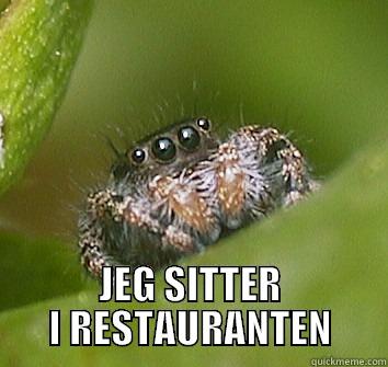 I'm sitting in the restaurant -  JEG SITTER I RESTAURANTEN Misunderstood Spider