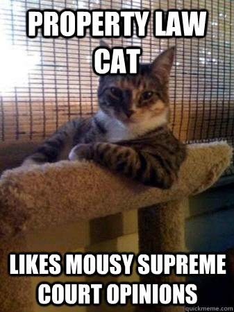 Property law cat likes mousy Supreme Court opinions  The Most Interesting Cat in the World