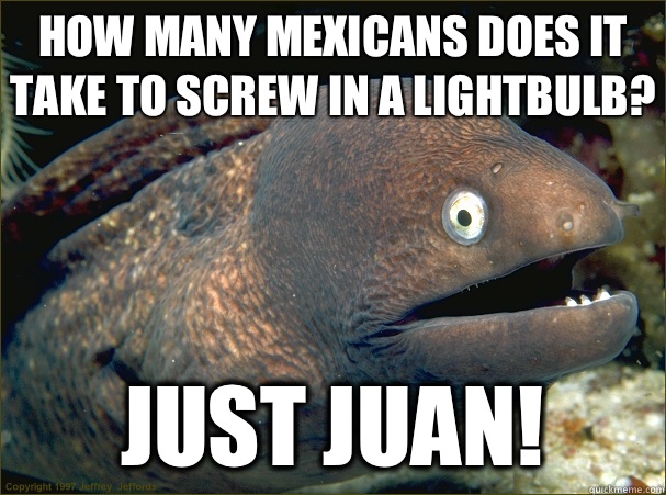 How many Mexicans does it take to screw in a lightbulb? Just Juan!  Bad Joke Eel