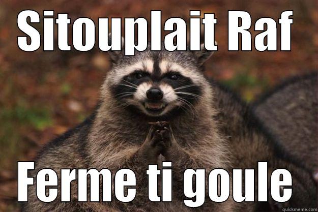 SITOUPLAIT RAF FERME TI GOULE Evil Plotting Raccoon