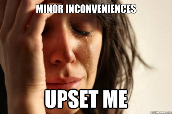 minor inconveniences  upset me  First World Problems