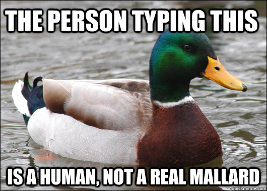 THE Person typing this is a human, not a real mallard  Actual Advice Mallard
