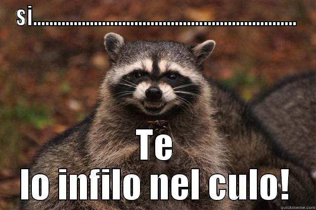 SI................................................................. TE LO INFILO NEL CULO! Evil Plotting Raccoon