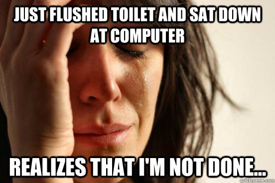 just flushed toilet and sat down at computer realizes that i'm not done...  First World Problems