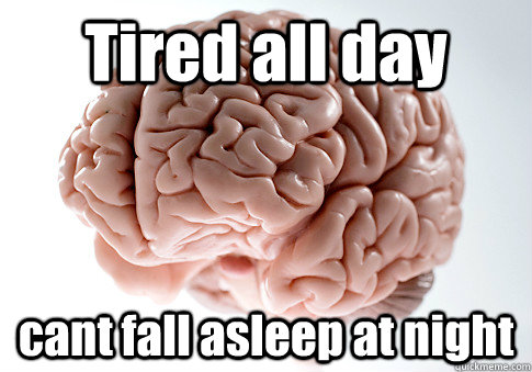 Tired all day cant fall asleep at night  - Tired all day cant fall asleep at night   Scumbag Brain