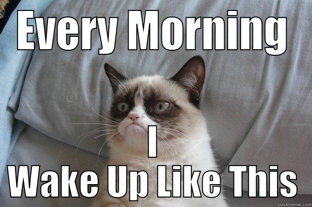 EVERY MORNING I WAKE UP LIKE THIS Grumpy Cat