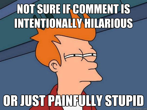 not sure if comment is intentionally hilarious or just painfully stupid  Futurama Fry