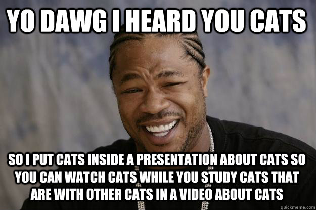 yo dawg i heard you cats so i put cats inside a presentation about cats so you can watch cats while you study cats that are with other cats in a video about cats  Xzibit meme