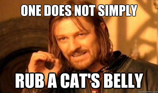 One Does Not Simply Rub a cat's belly  Boromir
