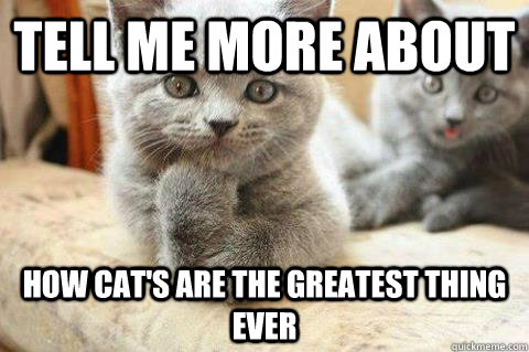 tell me more about how cat's are the greatest thing ever  