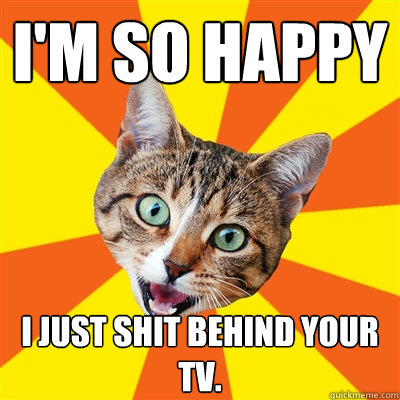 i'm so happy i just shit behind your tv.  Bad Advice Cat