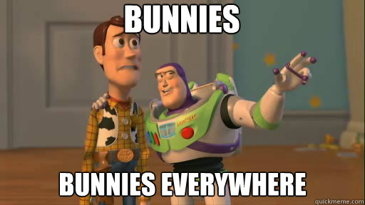 Bunnies  Bunnies everywhere  Everywhere
