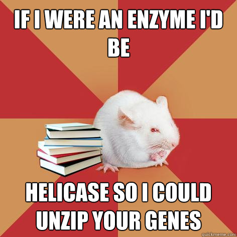 If I were an enzyme i'd be  Helicase so i could unzip your genes - If I were an enzyme i'd be  Helicase so i could unzip your genes  Science Major Mouse