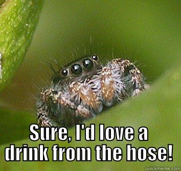  SURE, I'D LOVE A DRINK FROM THE HOSE! Misunderstood Spider