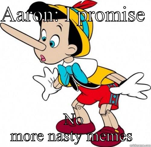 AARON: I PROMISE  NO MORE NASTY MEMES  Misc